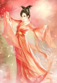 玄医暖婚之腹黑靳爷追妻忙